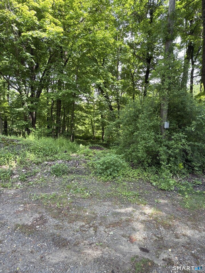Property Photo: 319 White Oak Trail CT 06098