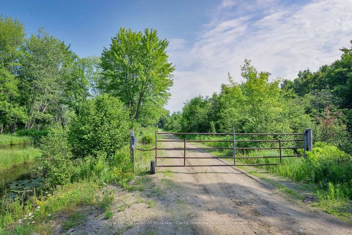 20 Elderberry Lane — photo 1
