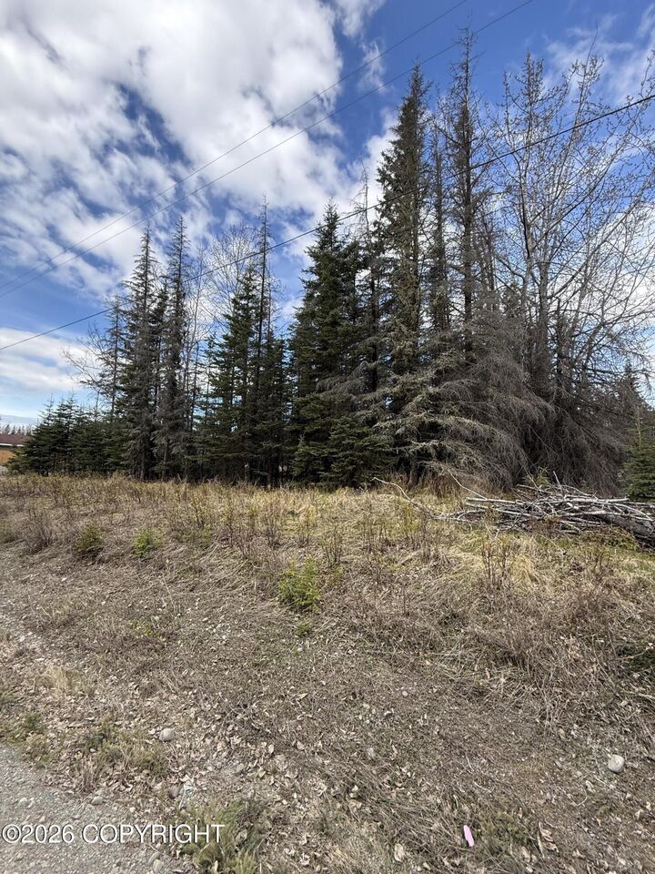 Property Photo:  609 Magic Avenue  AK 99611 