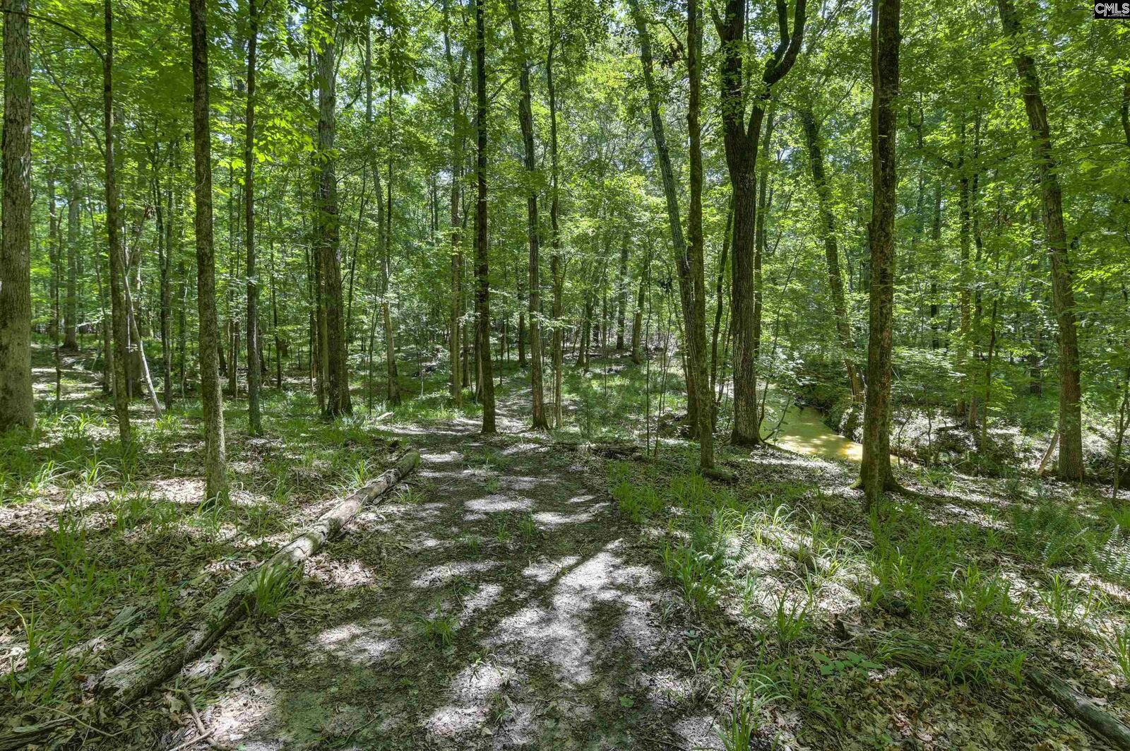 Property Photo:  Bright Myers  SC 29016 