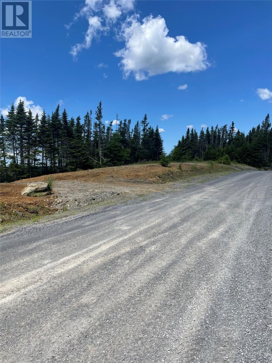 Property Photo:  154 Prison Camp Road  NL A0A 0A0 