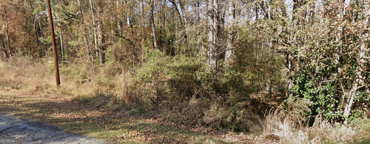 Property Photo:  2842 Drowning Creek Road  GA 30019 