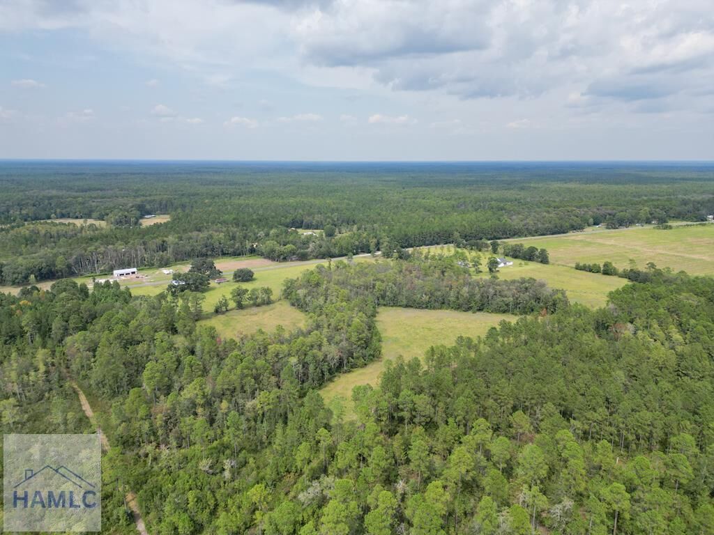 Property Photo: 15 Acres Hodges Road GA 31313