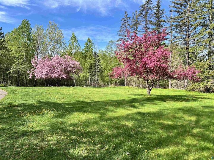 Property Photo:  254 E Highway 61  MN 55733 