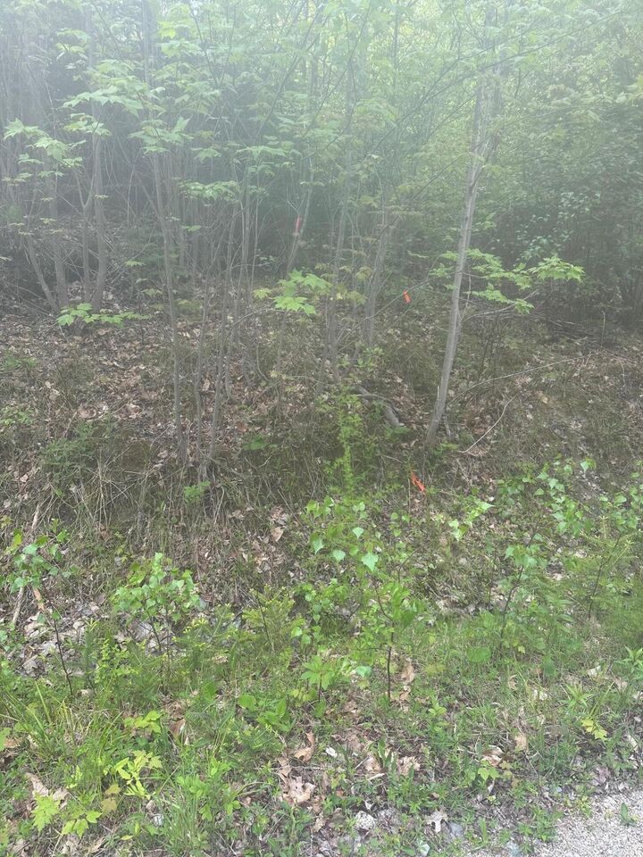 Property Photo: 1 Morse District Road N ME 04680