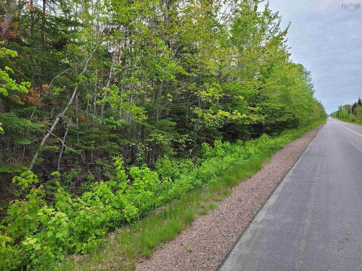 Tattrie Settlement Road — photo 1