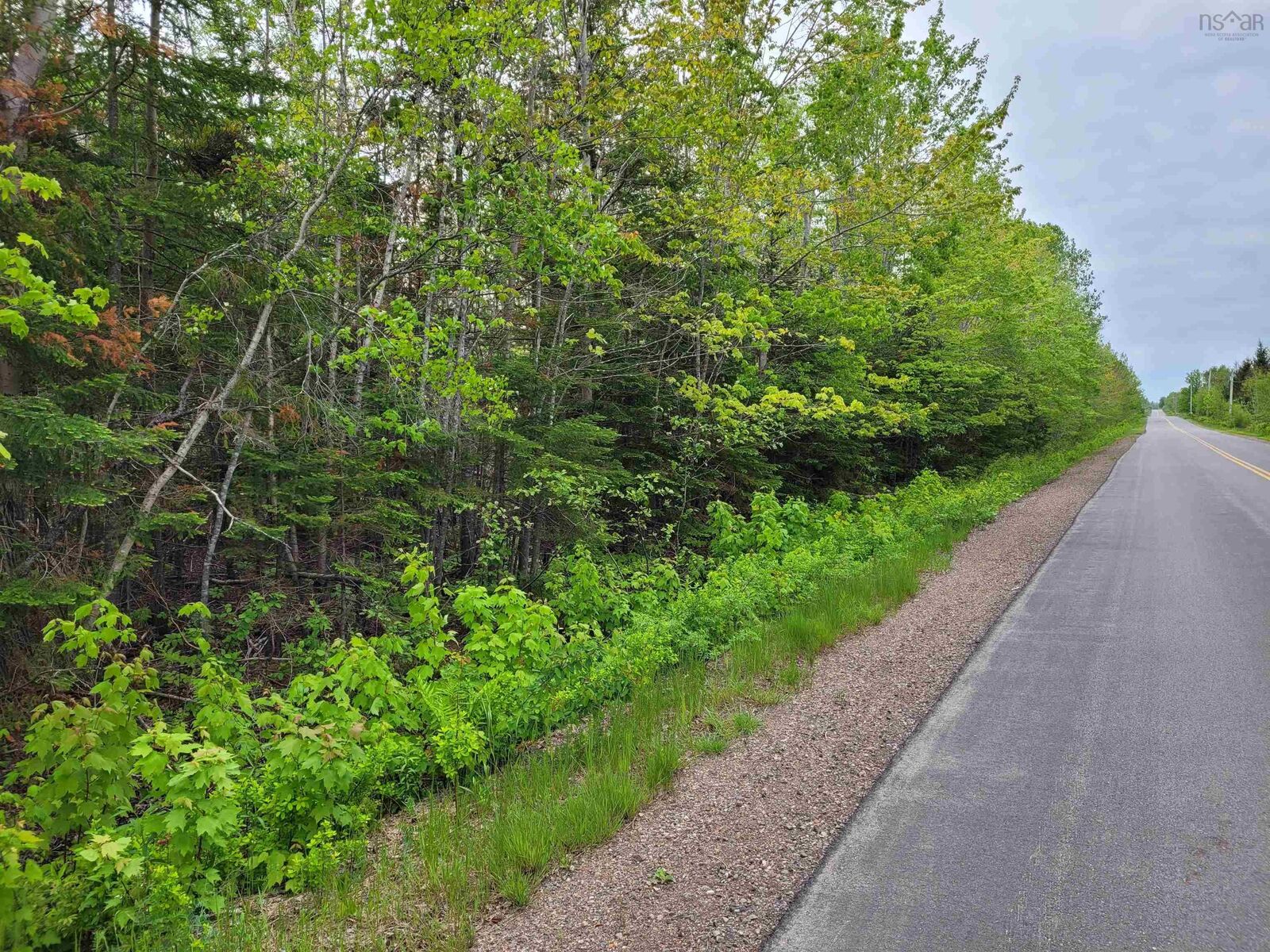 Property Photo:  Tattrie Settlement Road  NS B0K 1V0 