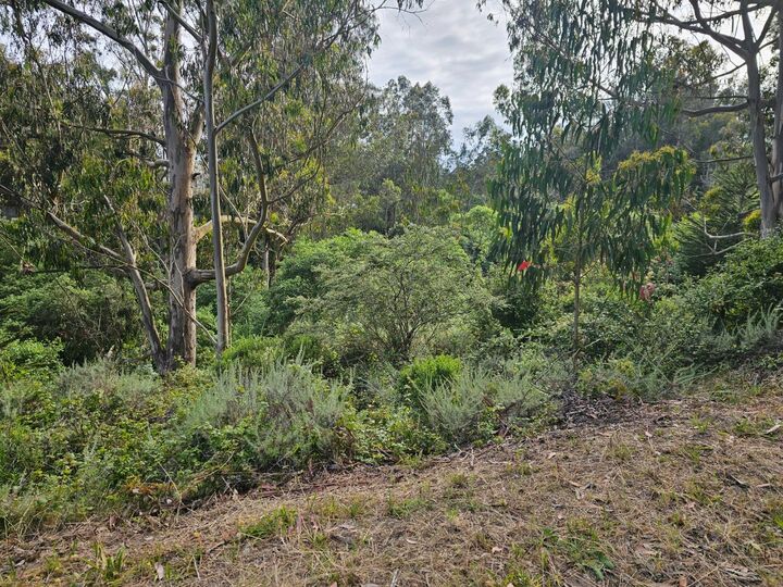 Property Photo: 0 Verde Road CA 94019