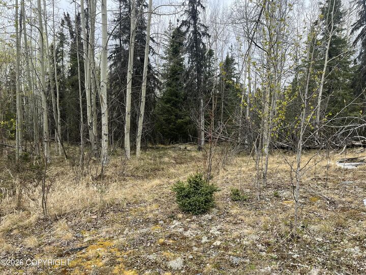 Property Photo:  28072 Caffyn Avenue  AK 99672 