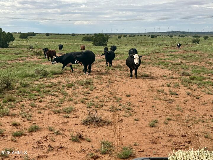 Property Photo: 100 S Duck Lake Road - AZ 85928