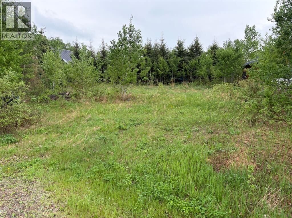 Property Photo:  207 Lakeview Dr  SK S0M 1A0 