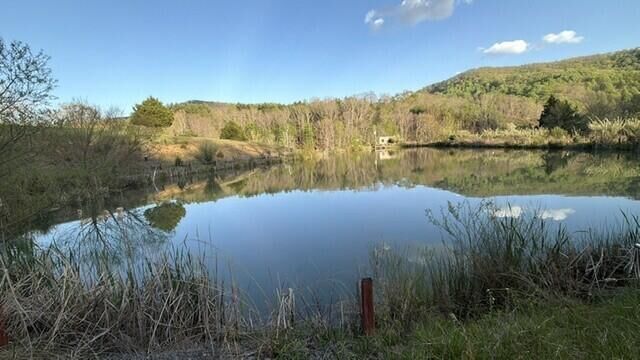 Property Photo:  2463 Willow Bend Rd  WV 24951 