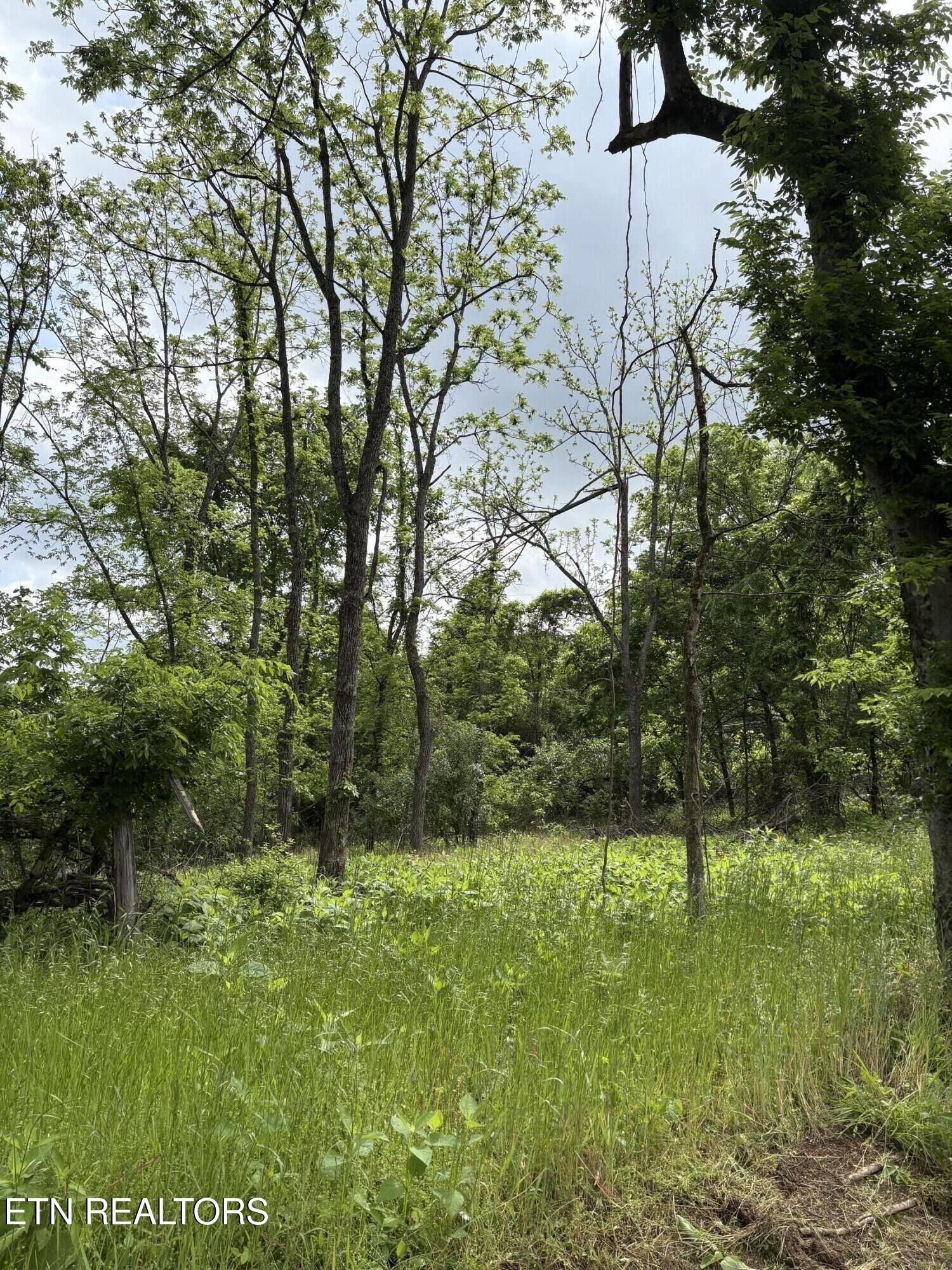 Property Photo:  0 Grubb Rd  TN 37771 