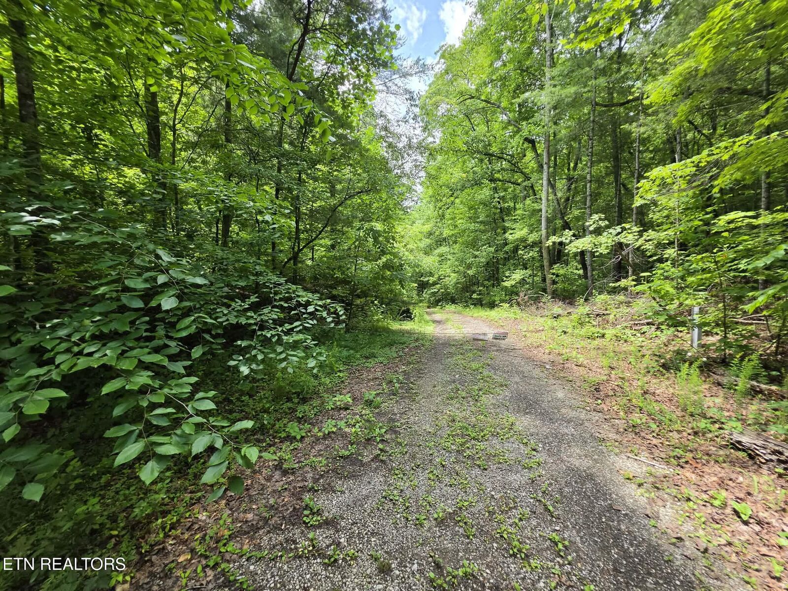Property Photo: 195 Sherwood Lane TN 37748