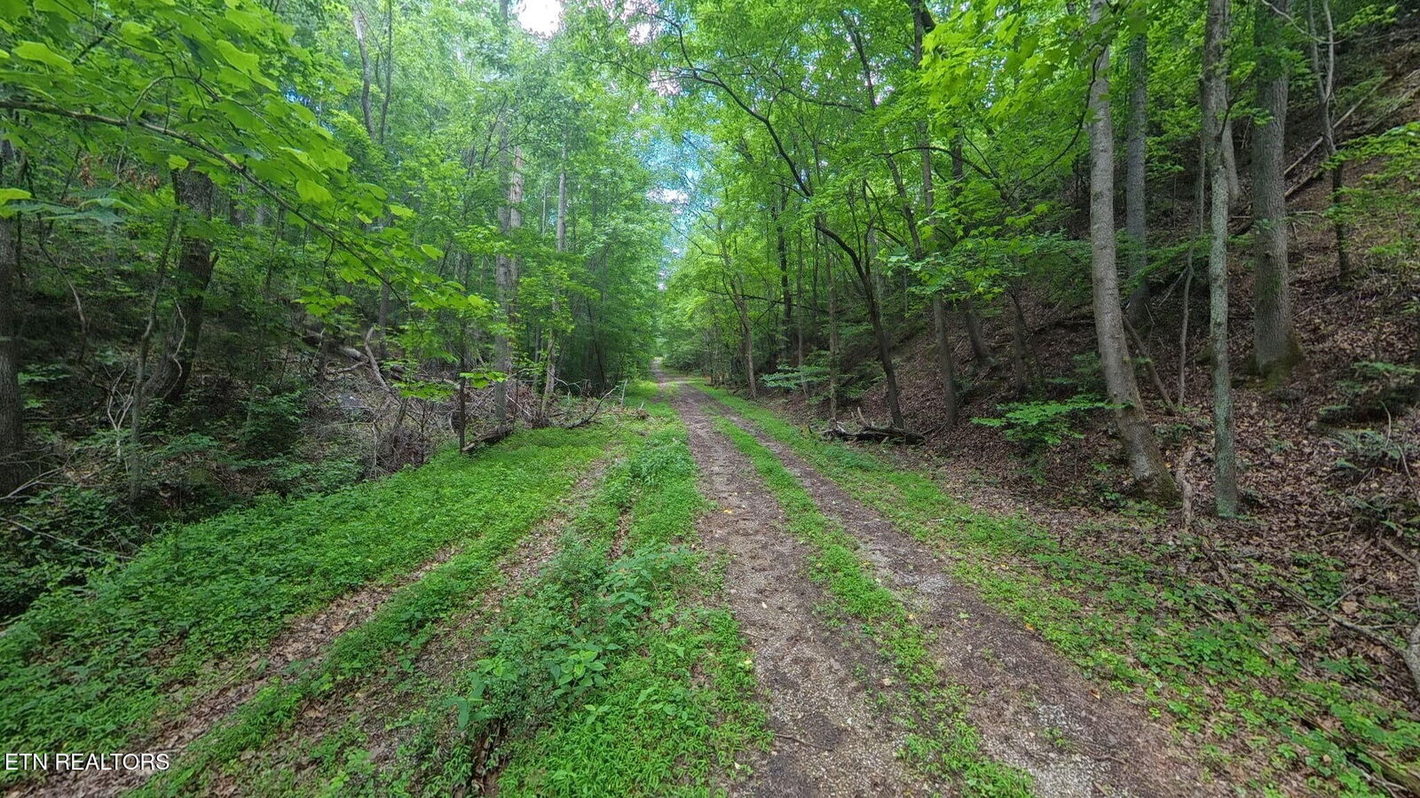 Property Photo:  195 Sherwood Lane  TN 37748 