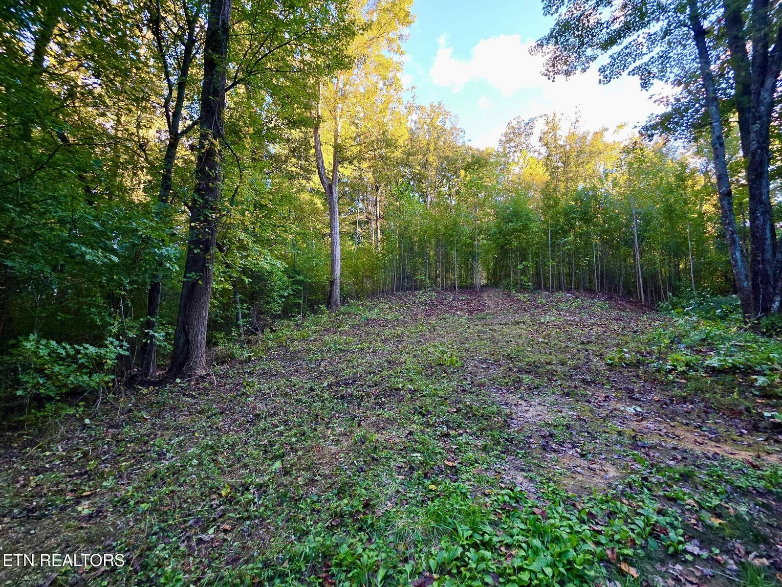 Property Photo: 195 Sherwood Lane TN 37748