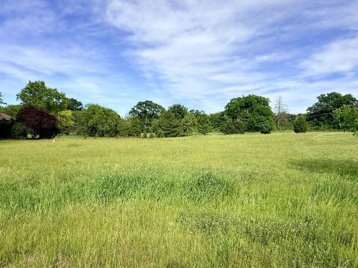 Property Photo:  Lot 17 Savannah Court  IL 60560 