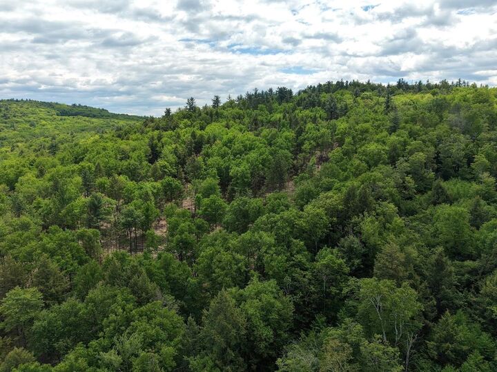 Property Photo: Hurricane Road NH 03467