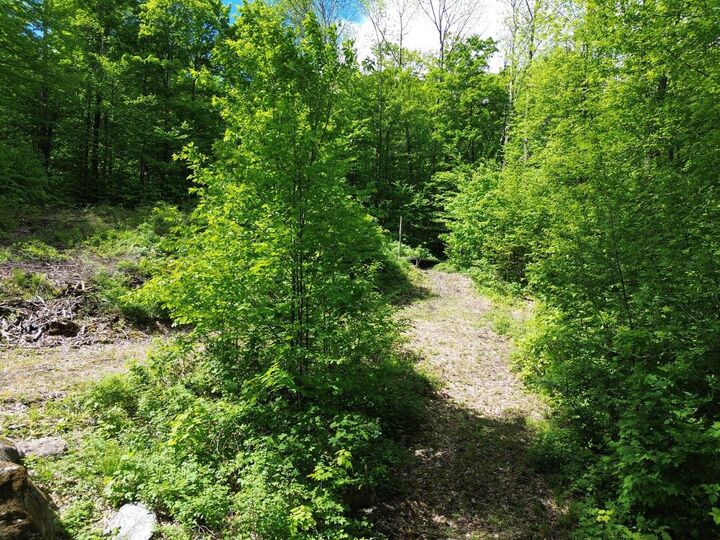 Property Photo: 197 Sugar Ledge Road VT 05674
