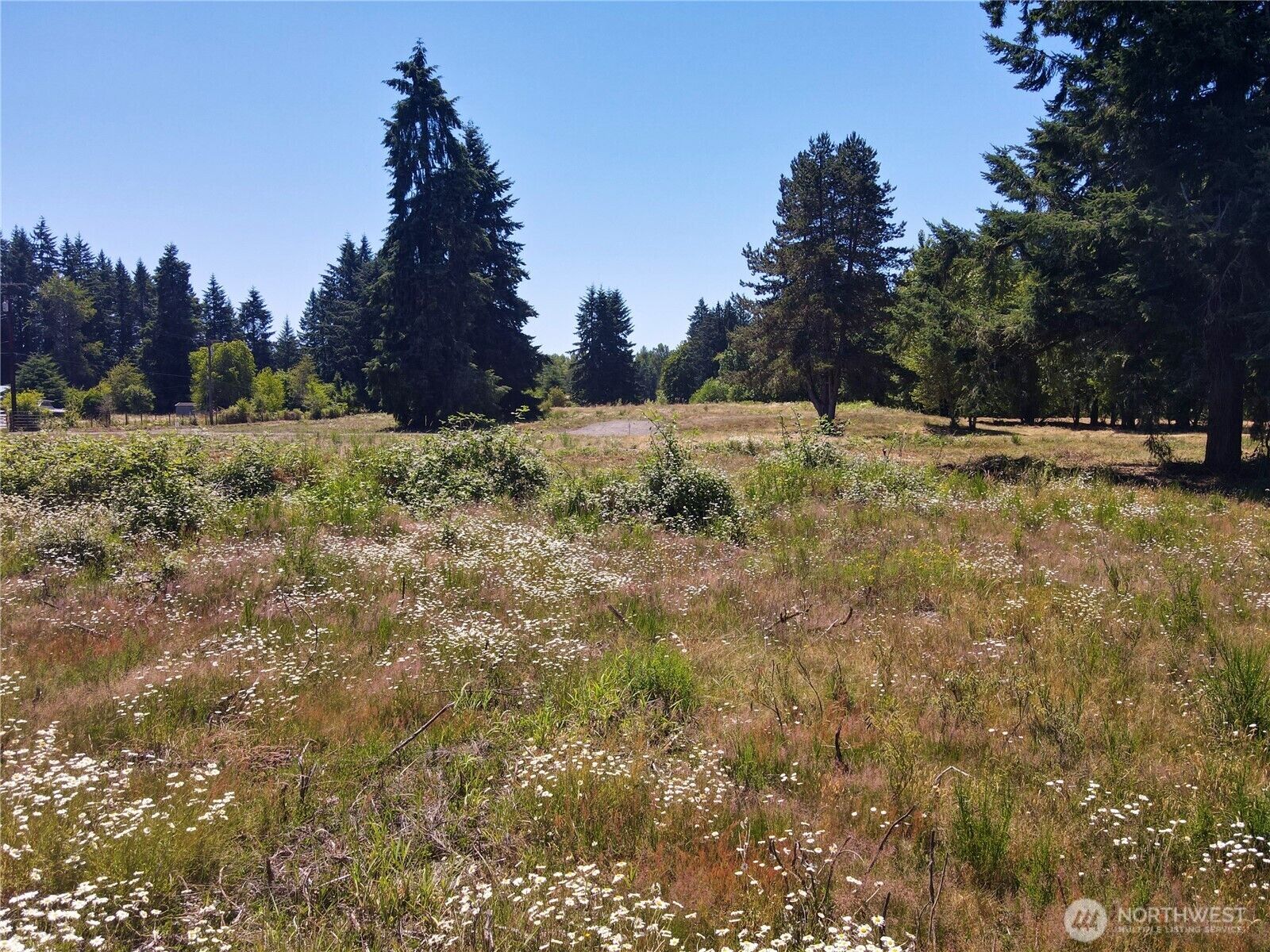 Property Photo:  108  Mocha Lane  WA 98531 