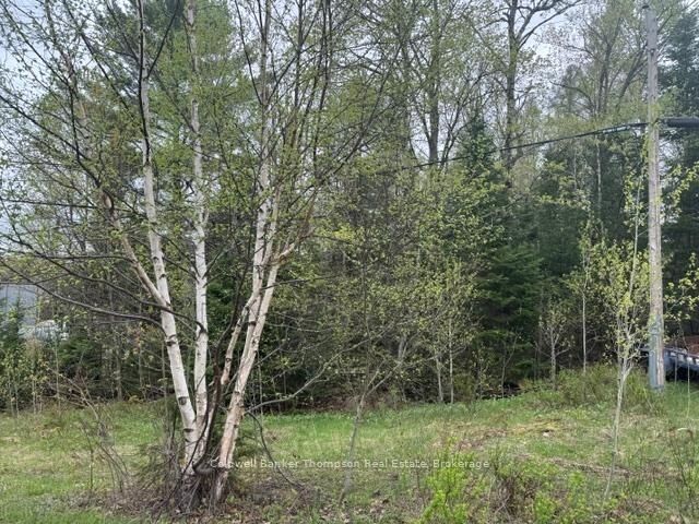 Property Photo:  00 Highway 518 West Highway  ON P0A 1Y0 