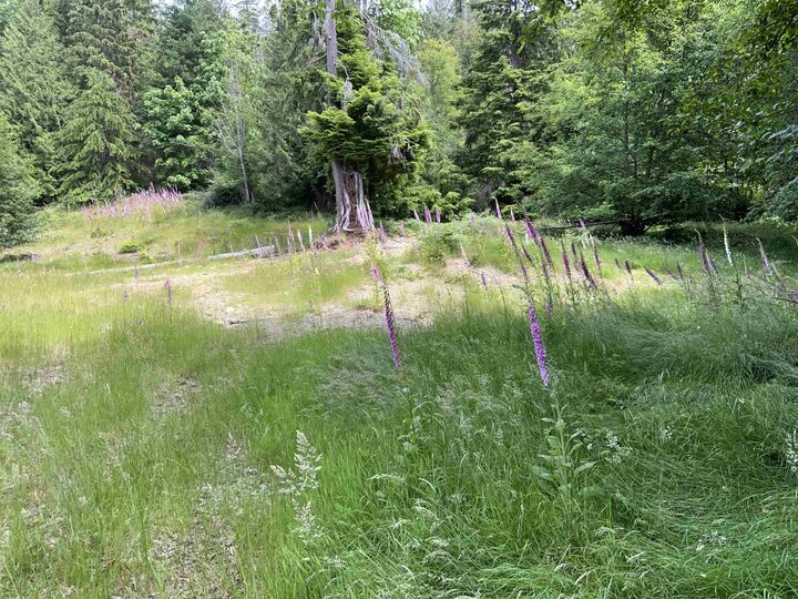 Property Photo:  Lot H Cotton Bay Road  BC V0N 1V0 