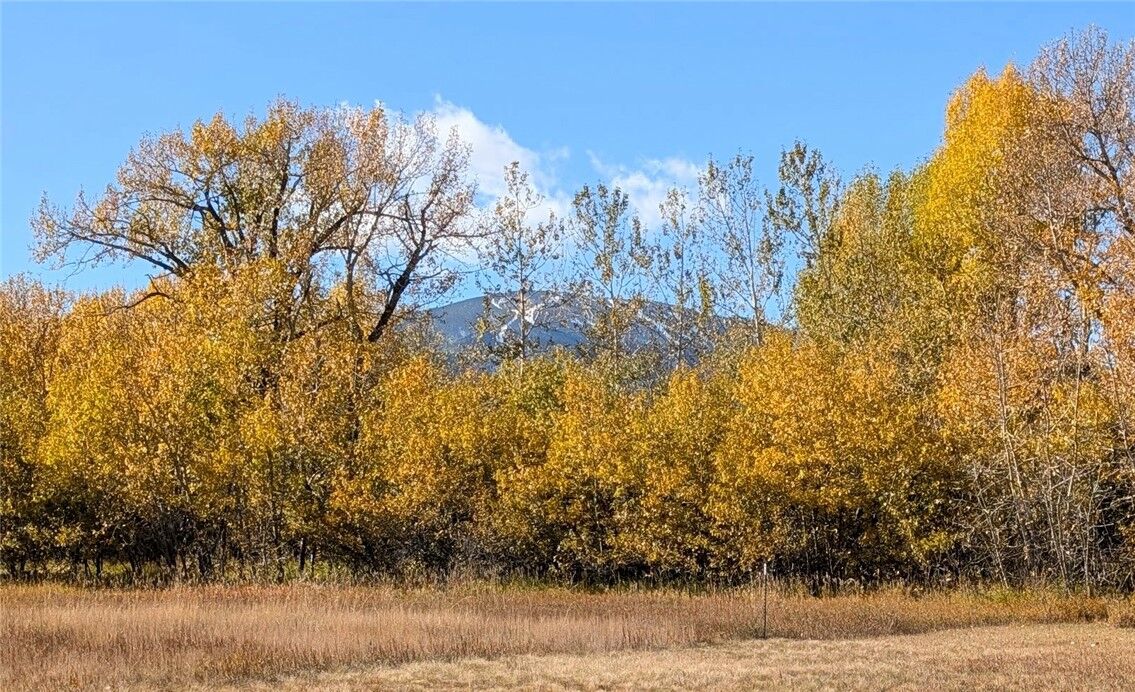 Property Photo: 2325 Diamond C MT 59044