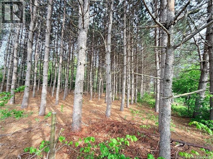 Property Photo:  Vacant Lot 74-1A Cape Breton Rd Road  NB E4P 1V8 