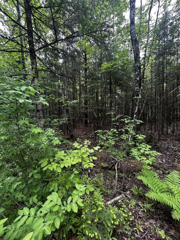 Property Photo:  Lot 9-2 Lilly Drive  ME 04953 