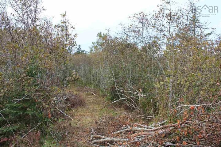 Property Photo:  Lot 1 Lake Doucette Road  NS B0W 2Y0 