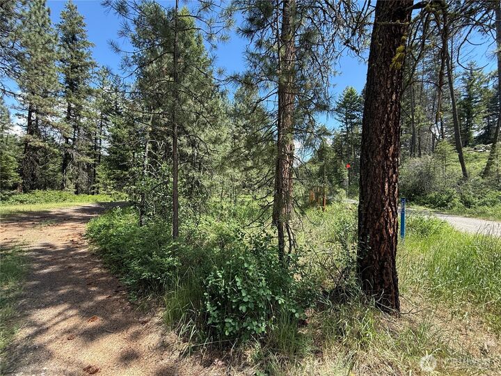 Property Photo:  21  Pine Grove Street  WA 99166 