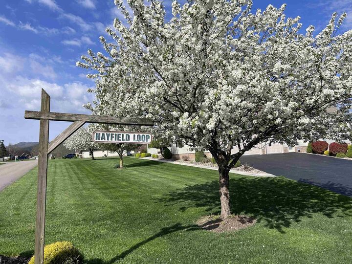 Property Photo: Lot 36 Hayfield Loop WV 26241