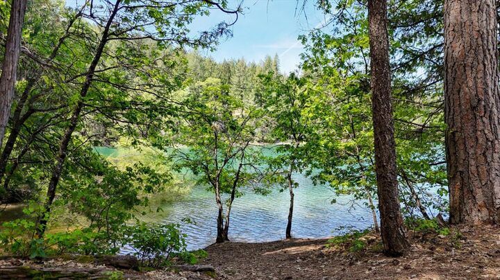 Property Photo:  0 Rooskie Way  CA 95959 