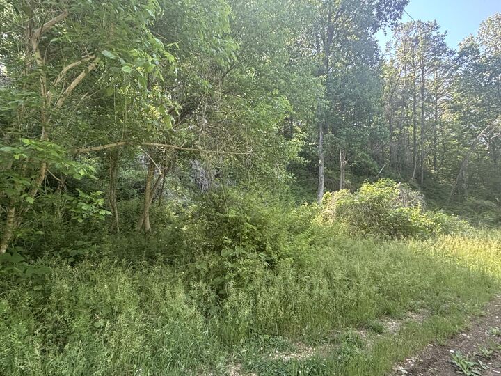 Property Photo:  0 Westover Drive SW  TN 37311 