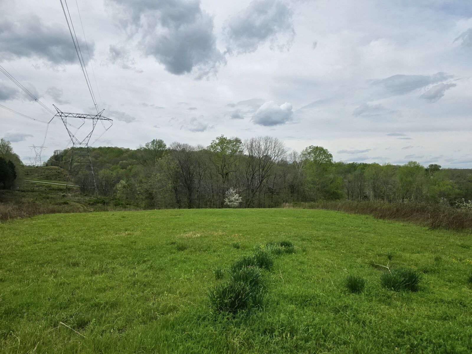 Property Photo: 0 Old Highway 48 TN 37040