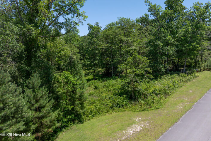 Property Photo:  Lot 10 10 Tree Hill Lane  NC 28539 
