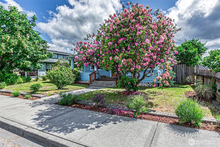 Property Photo: 203 Orchard Avenue N WA 98328
