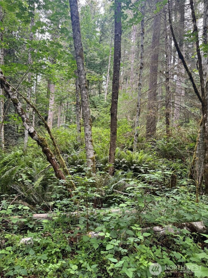 Property Photo:  0 Xx  Widme Road NE  WA 98370 