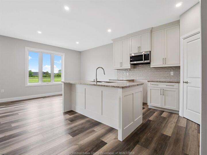 Property Photo:  113 Eagle Street  ON N8H 0G5 