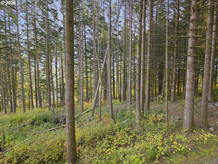 Property Photo:  0 Warren Rd 4  WA 98639 