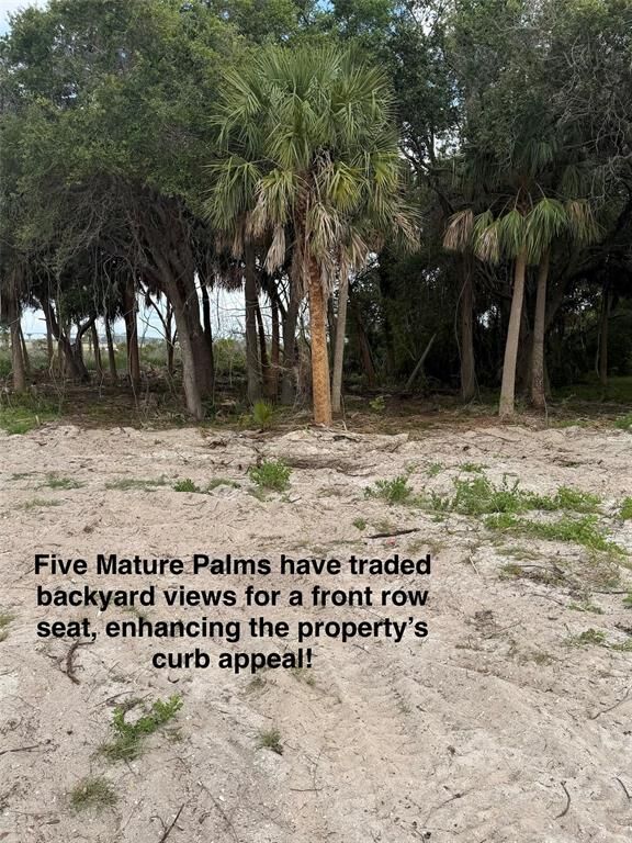 Property Photo:  9110 Woodsman Cove Lane  FL 32226 