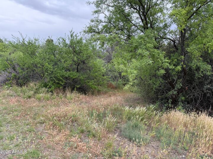 Property Photo:  2366 S Eastern Drive 589  AZ 86326 