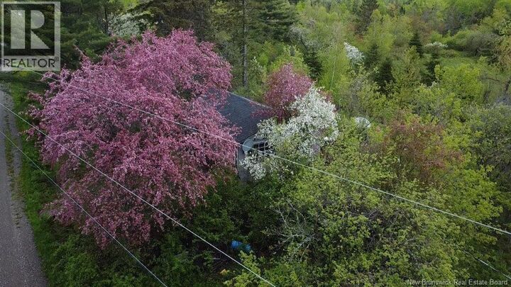 Property Photo:  196 Ledge Road  NB E3L 3P2 
