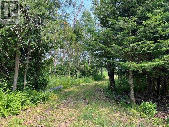Property Photo:  Lot 2 & 3 Con Nelson Dr  ON P0R 1G0 