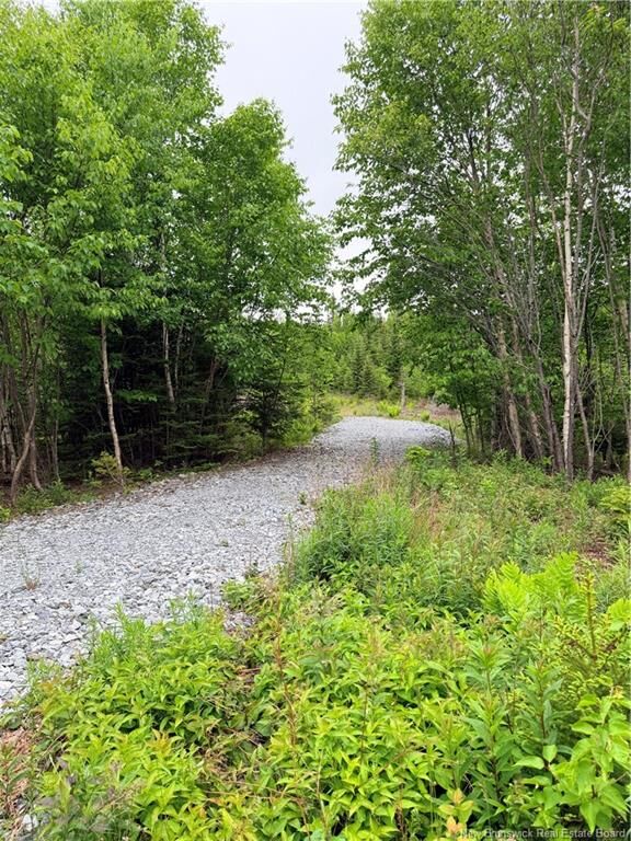 - Meadow Cove Road — photo 1