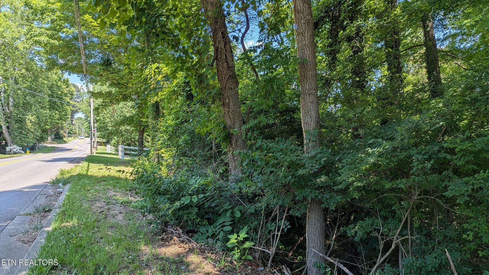 Property Photo:  Lot 27 Cedar Lane  TN 37918 