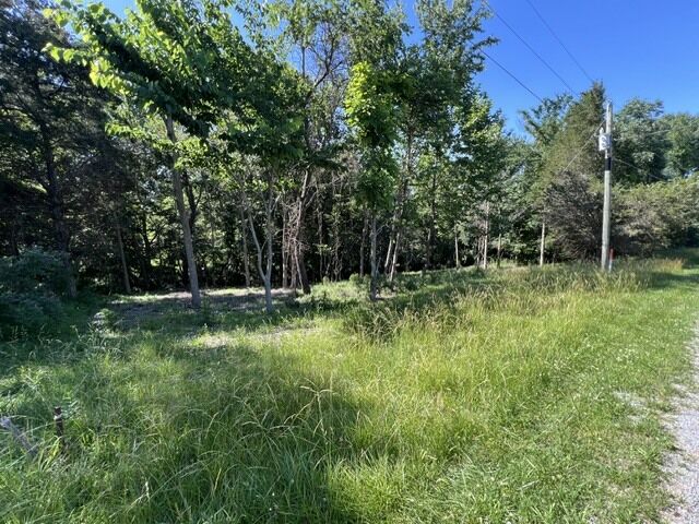 Property Photo:  0000 Lakeshore Dr South  IL 62959 