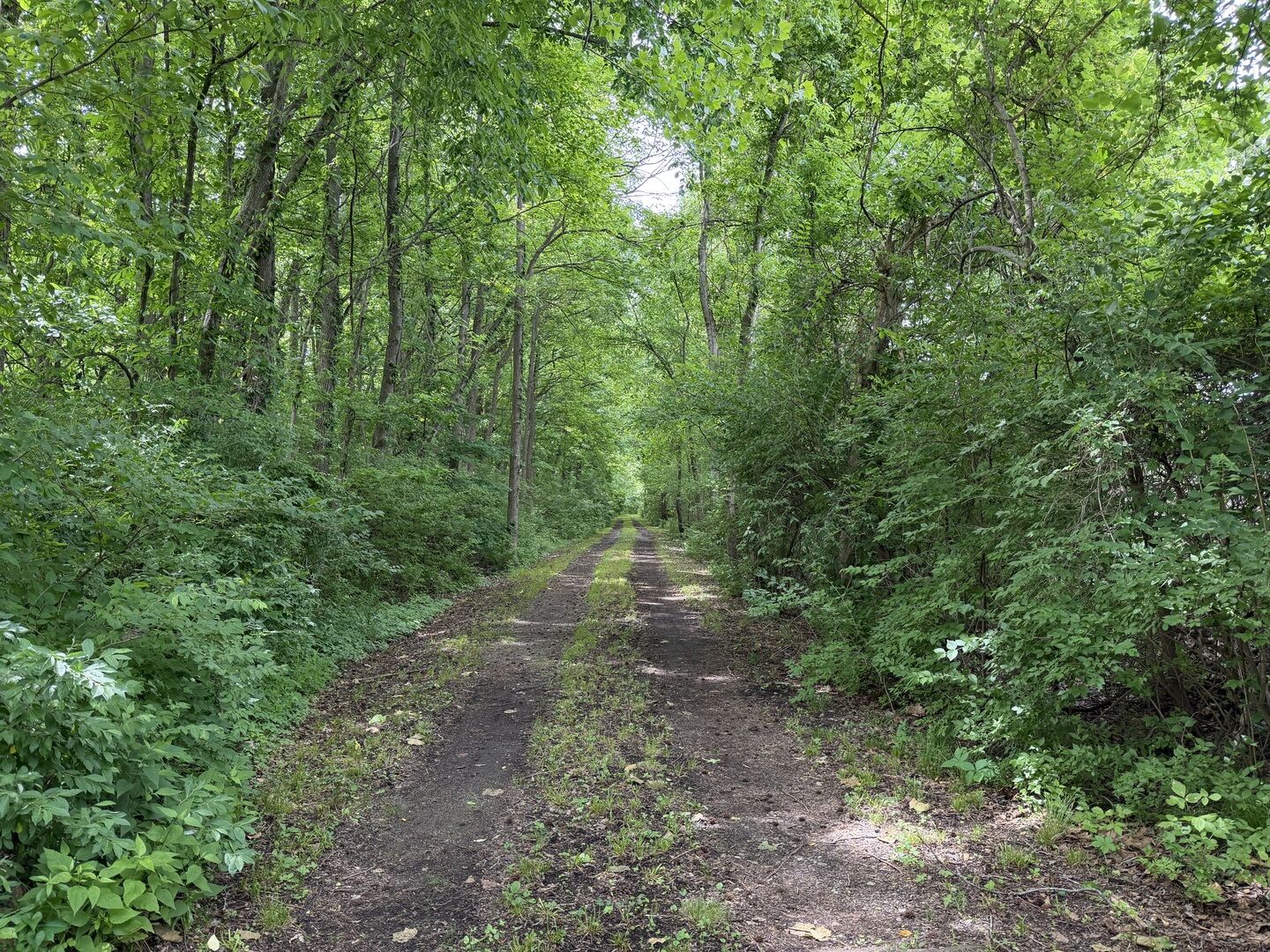 Property Photo:  00 Shoemaker Drive  IL 62966 