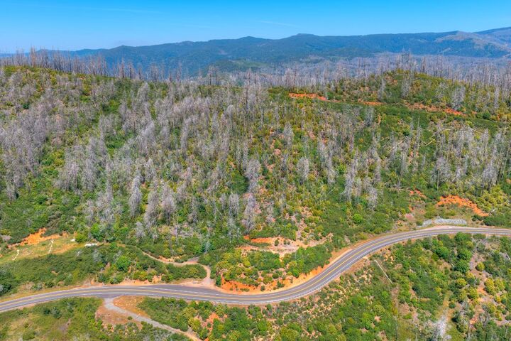 Property Photo:  0 Oro Quincy Highway  CA 95916 