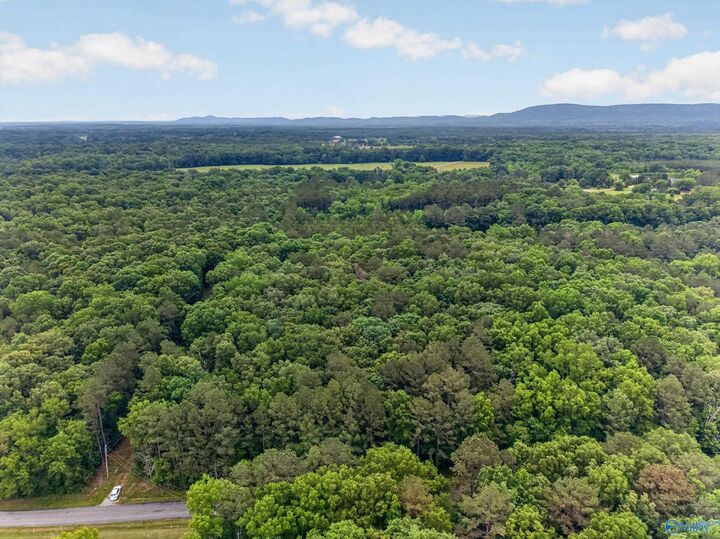 Property Photo:  2 Lots Christopher Avenue  AL 35907 